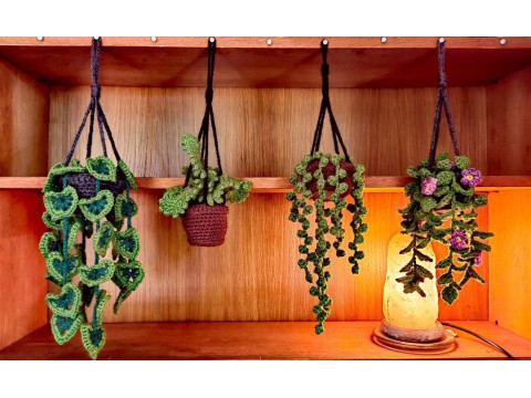 Hanging Plant