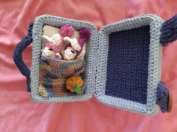 Mouse Travel Case