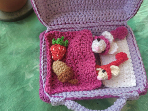 Mouse Travel Case